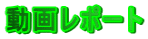 動画レポート