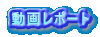 動画レポート