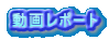 動画レポート